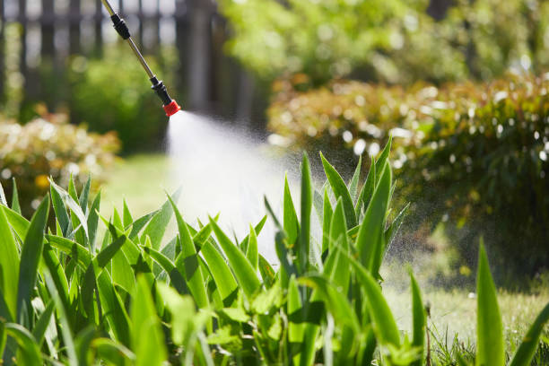24/7 Emergency Mosquito Control experts in Yorktown, IN