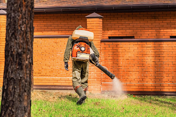 Top rated local Mosquito Control specialists in Yorktown, IN
